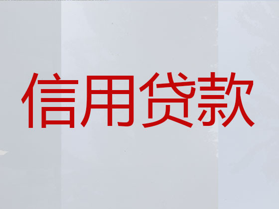 嘉善正规贷款公司-银行担保贷款